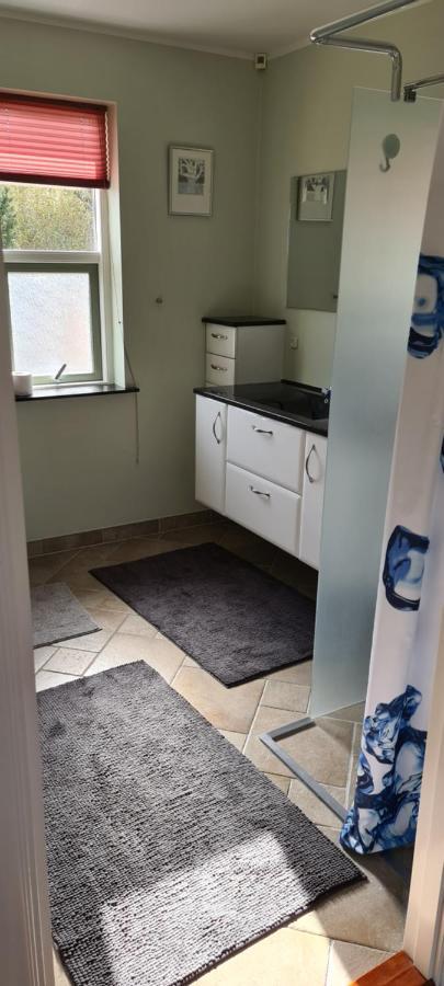 Appartement Cichy Zakatek 2 à Odense Extérieur photo